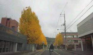 20121115_122556s.jpg