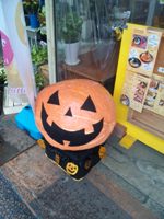 かぼちゃ.jpg